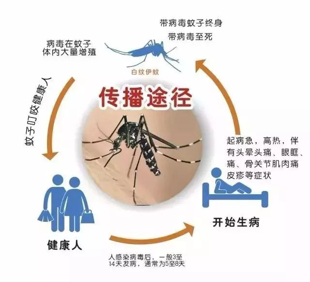 C:\Users\user\Desktop\圖片1.png C:\Users\user\Desktop\圖片1.png
