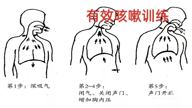 圖片 5.png 圖片 5.png